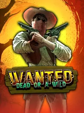 Wanted Dead or a Wild spelen bij Villa Spin